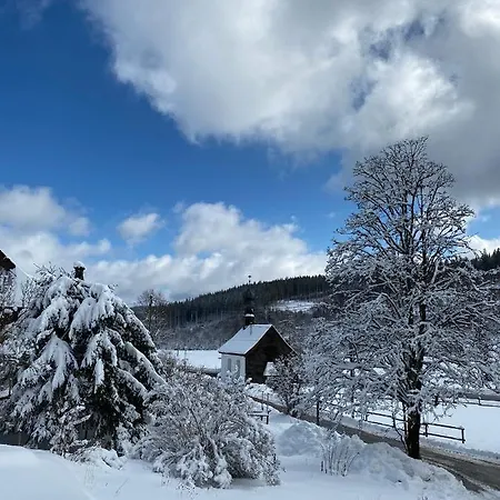 شقة Cosy Flat In Blackforest سشلوشسي