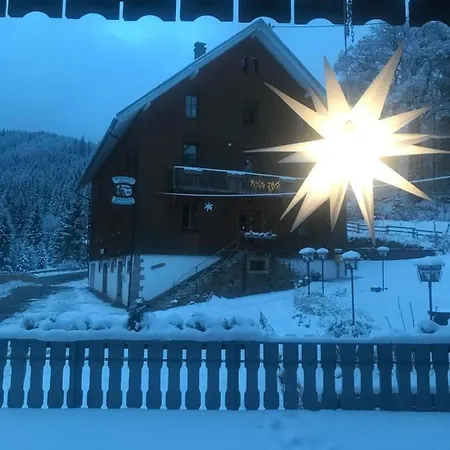 Cosy Flat In Blackforest *