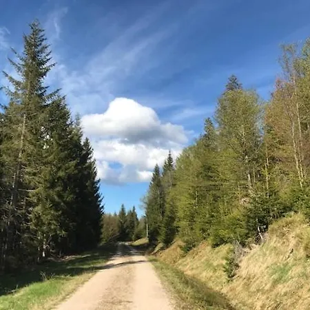 Cosy Flat In Blackforest شقة *